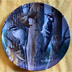 Edwin Knowles-Encyclopedia Britannia-Birds Of Your Garden-THE DOWNEY WOODPECKER